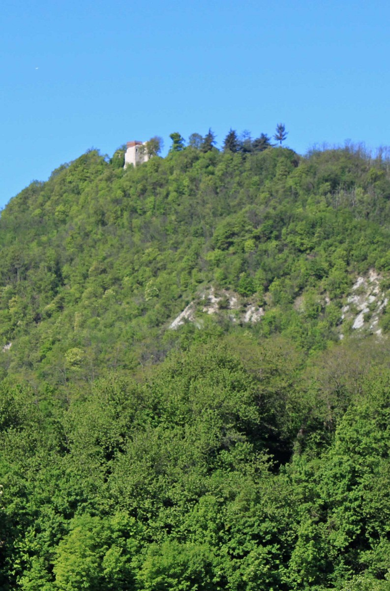 Veduta dei boschi intorno al Castello